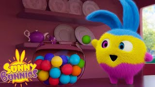 SUNNY BUNNIES  Multicolour Bunnies  Season 5  Cartoons for Children [upl. by Ruhtracam]