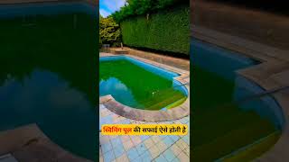 Swimming pool cleaning tips facts shorts [upl. by Pyle]