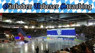 🥅🏒 STRAUBING TIGERS  Red Bull München ⛸ 03112023 🏒🥅 Einlauf und Fangesänge  299 [upl. by Samara]