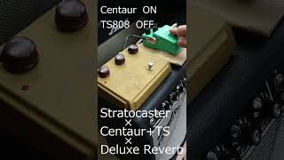 Strato × Centaur  TS808 × Deluxe Reverb [upl. by Haimehen]