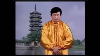 Falun Dafa  Falun Gong  Complete One Hour Exercise chinese voice over [upl. by Smada]