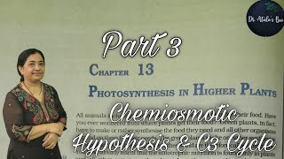 photosynthesis in higher plants  Part 3  Class 11 Biology  NCERT NEET [upl. by Liebermann]