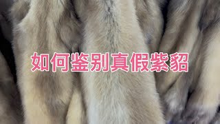 一两万能买到紫貂皮草吗，别上当了，可能是扫雪貂 [upl. by Kurt871]