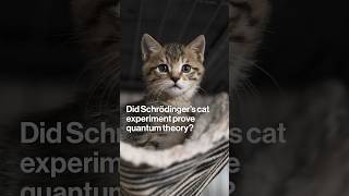 Did Schrödinger’s Cat Experiment Prove Quantum Theory [upl. by Harvard674]