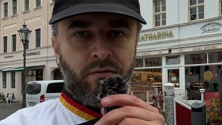 🎥 Unsere Stollen im Test Wie gut sind sie Ergebnis am Ende 🎄❤️ Stollenliebe brotprofi shorts [upl. by Jobyna860]