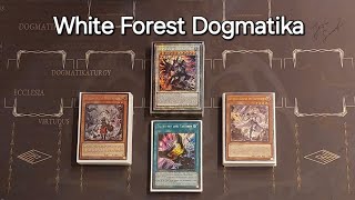 White Forest Dogmatika  Deck profile  Combos POST INFOWCQ [upl. by Race]