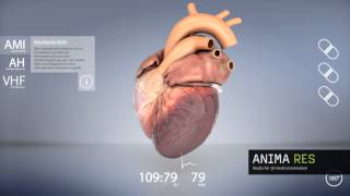 interactive 3d heart animation [upl. by Evelina53]