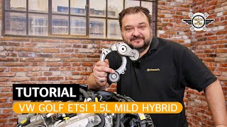 DE Keilrippenriemen am Auto wechseln Mild Hybrid mit OmegaSpanner  Watch and Work Tutorial [upl. by Furey]