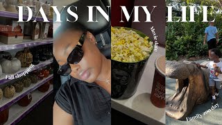 VLOGTOBER 🍂 Lululemon dupes at Walmart  Family Zoo Date Beetlejuice 2 🪲 [upl. by Evilc21]