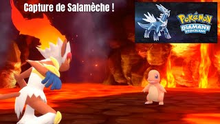 Pokémon Diamant Etincelant  On capture 🔥 Salamèche 🔥  Nintendo Switch [upl. by Vladamir]