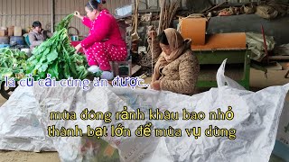 Miền Quê Trung Quốc Người Dân Rất Chịu Khó Tiết Kiệm Làm Lụng Tối Ngày [upl. by Lobiv]