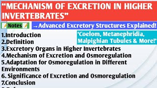 Excretion in Higher Invertebrates  Coelom  Metanephridia  Malpighian Tubules  Organ of Bojanus [upl. by Neelav]