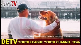 How do animals bond with humans？ ｜Dragon Eagle TV Youth Channel [upl. by Jose]