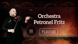 Orchestra Petronel Fritz  Banat 2020 [upl. by Assenay912]