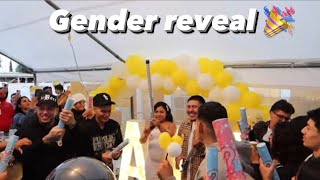 GENDER REVEAL [upl. by Eibber730]