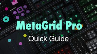 MetaGrid Pro Quick Guide [upl. by Anauqahc]