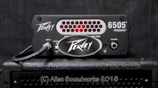 Peavey 6505 Piranha Sound Preview [upl. by Lorri]