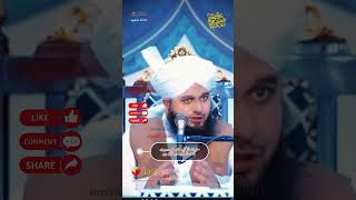 HAZRAT DATA ALI HIJVERI LIKHTY HEN Part62 youtubeshorts shotrs whatsappstatus peerajmalrazaqadri [upl. by Olimpia395]