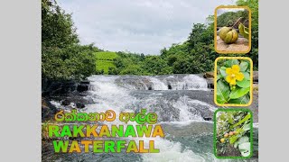 Rakkanawa waterfall  Deraniyagala srilanka 🇱🇰  රක්කනාව ඇල්ල [upl. by Pharaoh]