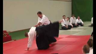 AIKIDO Christian Tissier Sensei in Sweden [upl. by Lomaj]