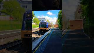 Endeavour N set arriving at Bowral with old city rail livery nswtrains regionaltrains automobile [upl. by Lacie]