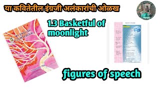 13 figures of speech in 13 Basketful of moonlight 10th std English [upl. by Theran963]