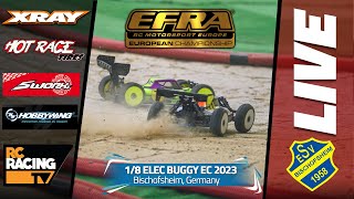 EFRA 18th Electric Buggy Championship 2023  Day 3  FINALS [upl. by Ansilme]