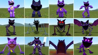 EVOLUTION OF ALL NEW CATNAP SMILING CRITTERS POPPY PLAYTIME CHAPTER 3 In Garrys Mod [upl. by Neenaj]