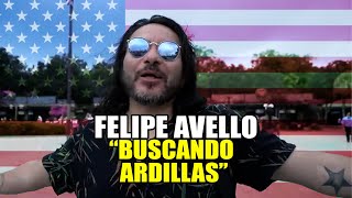 ¡Buscando Ardillas  FelipeAvello en vivo desde OrlandoFlorida [upl. by Gamaliel]