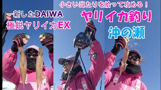 沖の瀬のヤリイカ釣り 新発売の極鋭ヤリイカEX使ってみた！ロッドビルダーyacco 的インプレ！【ヤリイカ釣り】【極鋭ヤリイカEX】 [upl. by Zsazsa]