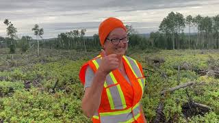 Moose hunting Newfoundland 2023 brothers wife’s hunt first moose kill [upl. by Rush]