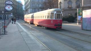 Tram 49 der Wiener Linien [upl. by Anayia]