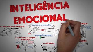 Aprenda os 5 Domínios da INTELIGÊNCIA EMOCIONAL DANIEL GOLEMAN  SejaUmaPessoaMelhor [upl. by Esinereb]