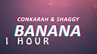 1 HOUR 🕐  Conkarah Shaggy  Banana DJ Fle Remix Banana Mini Siren [upl. by Rainer]