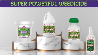 Sansar Green Liquid Weeds Remover for Removing all types of Wild Weeds [upl. by Danita64]