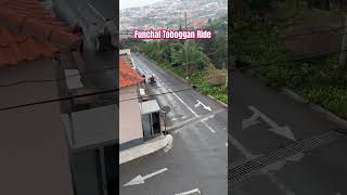 Would you ride a toboggan down the streets of Madeira Portugal [upl. by Nilyac]