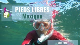 🌎 Pieds Libres Mexique Sous la Mer de Cortez [upl. by Floyd462]