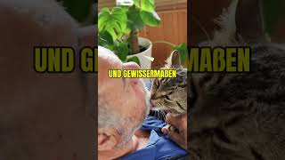 DESHALB leckt deine Katze deine Haare [upl. by Brunell488]