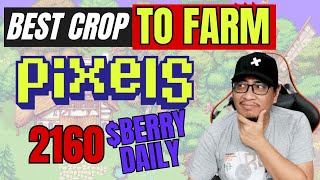 PIXELS NFT FARMING GUIDE  4 LEAF CLOVER VS WATERMINT [upl. by Enamart]