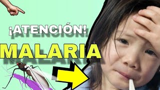 MALARIA🦟 Fisiopatología Síntomas Diagnóstico y Tratamiento EXPLICADO MUY FACIL🤯 [upl. by Capp]