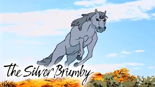 The Silver Brumby  Racing against the Wind and The Sight of Golden  FULL EPISODES [upl. by Theta]