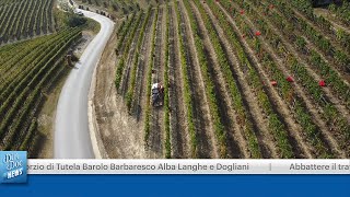 CONSORZIO DI TUTELA BAROLO BARBARESCO ALBA LANGHE E DOGLIANI [upl. by Yrebmik]