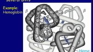 Amino Acids Peptides Proteins and Nucleic Acids [upl. by Billmyre920]