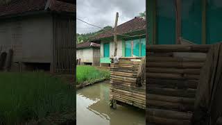 Kolam dan Sawah Dekat Rumah Suasana yang Bikin Betah [upl. by Nairolf]