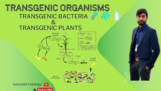 Transgenic products transgenic bacteria and transgenic plants biologistasifsaleem0910 [upl. by Maletta]