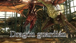 DARK SOULS II  Dragón guardián Enfrentamiento Boss fight [upl. by Monti]