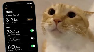 Cat moo but mobile alarms [upl. by Elletnahc]