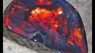 Black Opal Glowing Embers cut from rough to a polished stone [upl. by Rehteh]