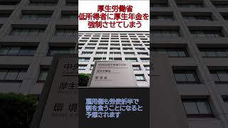 厚生労働省、低所得者に厚生年金を強制し手取りを減らす鬼畜の所業に出てしまう 時事 政治 厚生労働省 お金 年金 社会保障 [upl. by Ninehc]