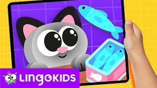 Help us to TAKE CARE OF THE KITTENS 🐱❤️  Lingokids Activities 🕹️ [upl. by Haronid949]